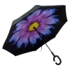  Dámsky polyesterový dáždnik Gregorio P4-388 ružový 80 cm