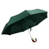  Zelený polyesterový dáždnik Gregorio PO-7006 33 x 95 cm